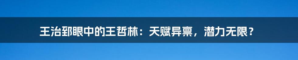 王治郅眼中的王哲林：天赋异禀，潜力无限？