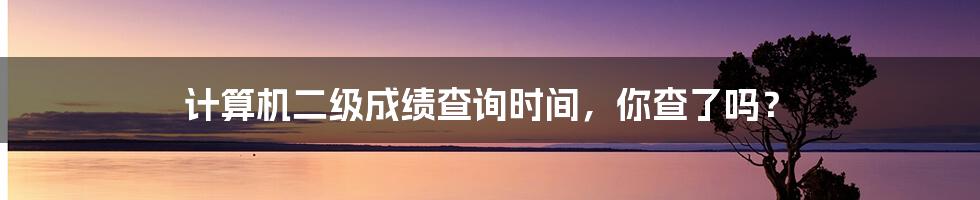 计算机二级成绩查询时间，你查了吗？