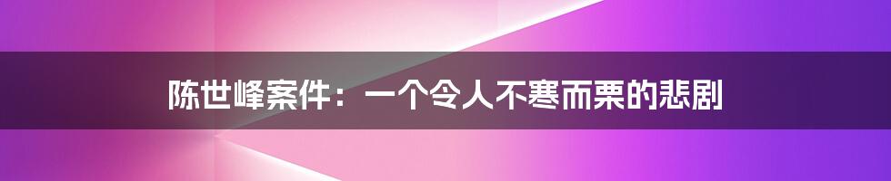 陈世峰案件：一个令人不寒而栗的悲剧