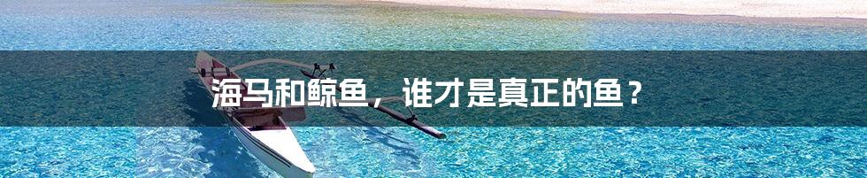 海马和鲸鱼，谁才是真正的鱼？