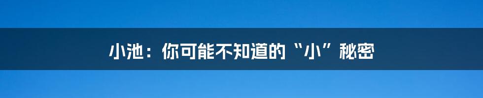 小池：你可能不知道的“小”秘密