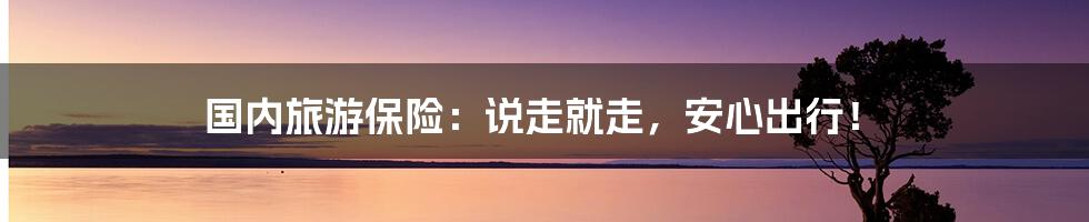 国内旅游保险：说走就走，安心出行！