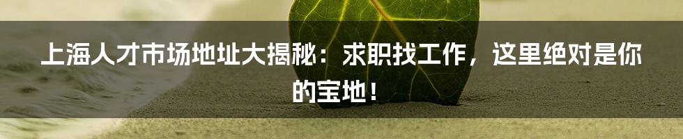 上海人才市场地址大揭秘：求职找工作，这里绝对是你的宝地！