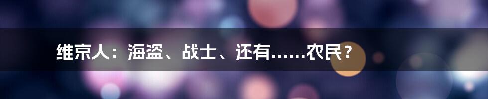 维京人：海盗、战士、还有......农民？