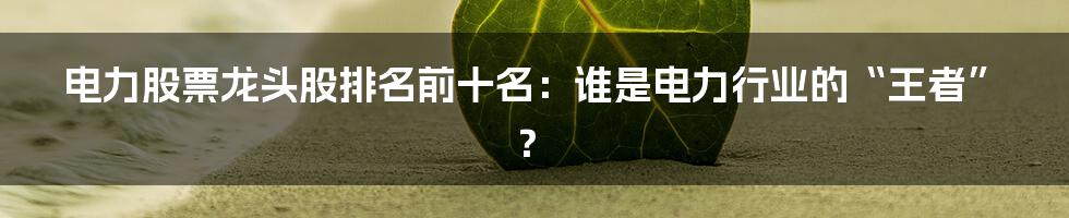 电力股票龙头股排名前十名：谁是电力行业的“王者”？