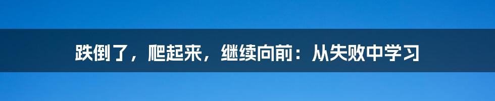 跌倒了，爬起来，继续向前：从失败中学习