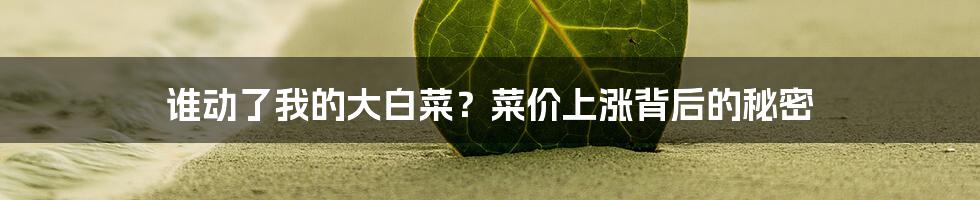 谁动了我的大白菜？菜价上涨背后的秘密