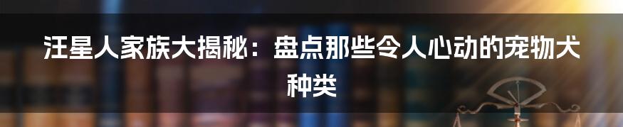 汪星人家族大揭秘：盘点那些令人心动的宠物犬种类