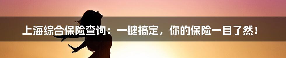 上海综合保险查询：一键搞定，你的保险一目了然！