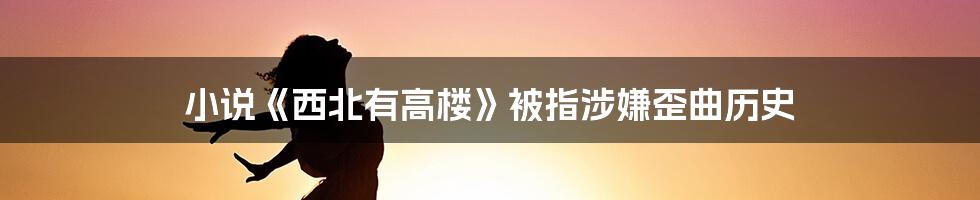 小说《西北有高楼》被指涉嫌歪曲历史