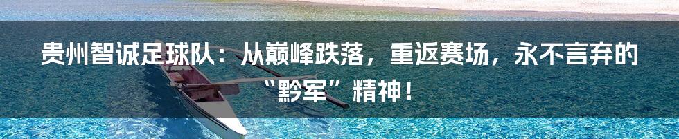 贵州智诚足球队：从巅峰跌落，重返赛场，永不言弃的“黔军”精神！