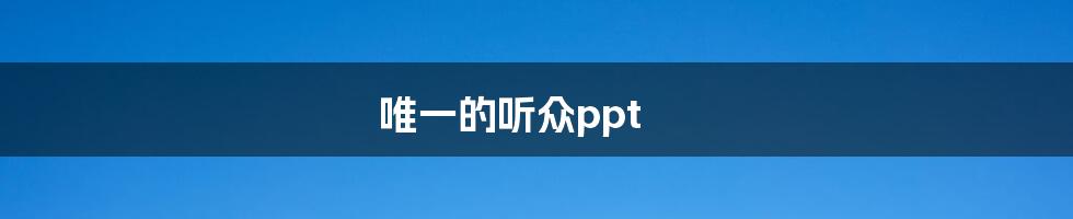 唯一的听众ppt