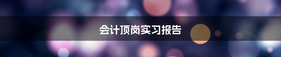 会计顶岗实习报告