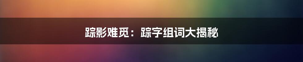 踪影难觅：踪字组词大揭秘