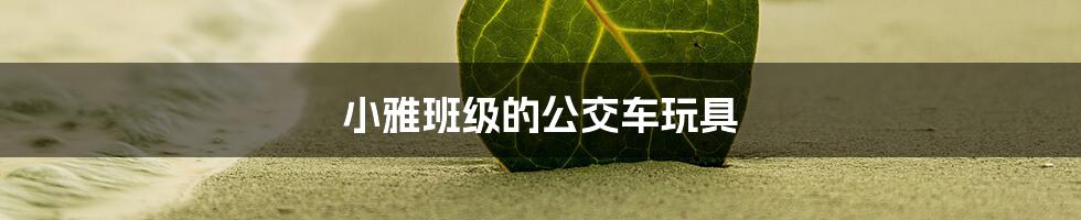 小雅班级的公交车玩具