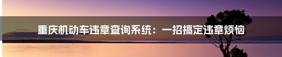 重庆机动车违章查询系统：一招搞定违章烦恼