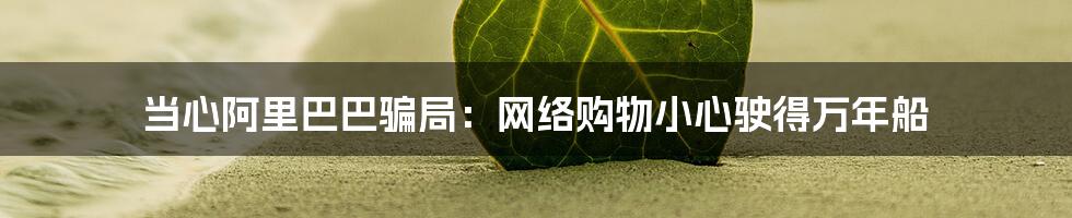 当心阿里巴巴骗局：网络购物小心驶得万年船