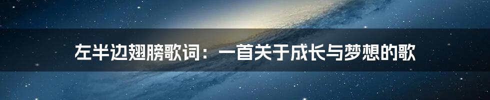 左半边翅膀歌词：一首关于成长与梦想的歌