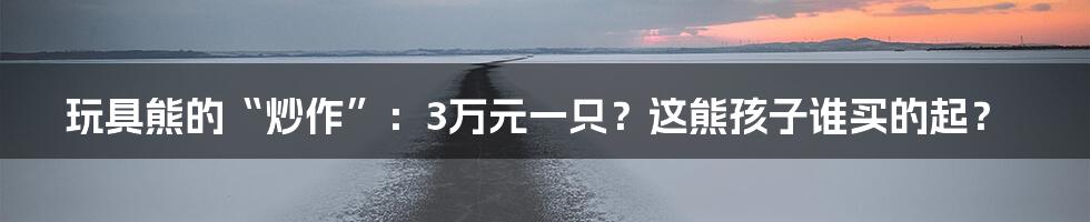 玩具熊的“炒作”：3万元一只？这熊孩子谁买的起？