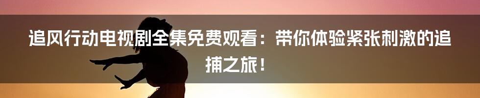 追风行动电视剧全集免费观看：带你体验紧张刺激的追捕之旅！