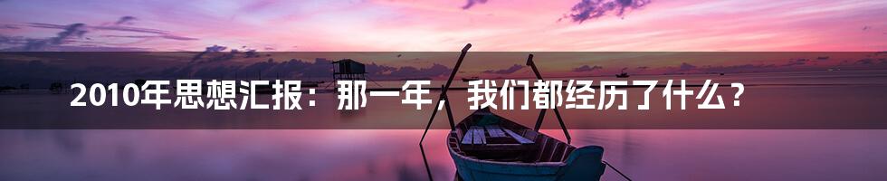 2010年思想汇报：那一年，我们都经历了什么？