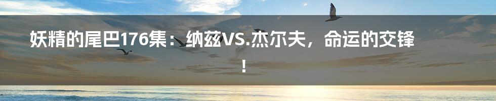 妖精的尾巴176集：纳兹VS.杰尔夫，命运的交锋！