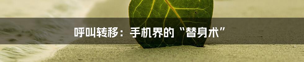 呼叫转移：手机界的“替身术”