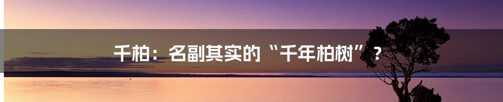 千柏：名副其实的“千年柏树”？