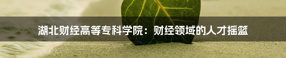 湖北财经高等专科学院：财经领域的人才摇篮