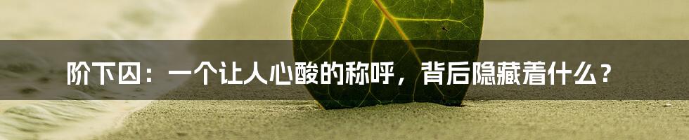 阶下囚：一个让人心酸的称呼，背后隐藏着什么？