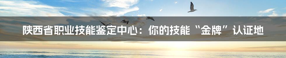 陕西省职业技能鉴定中心：你的技能“金牌”认证地