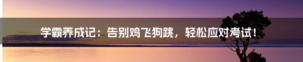 学霸养成记：告别鸡飞狗跳，轻松应对考试！