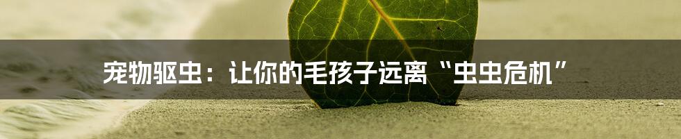 宠物驱虫：让你的毛孩子远离“虫虫危机”