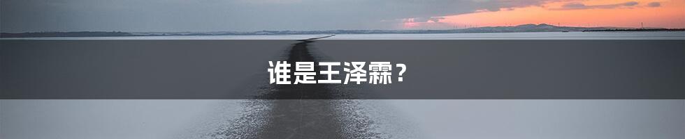 谁是王泽霖？