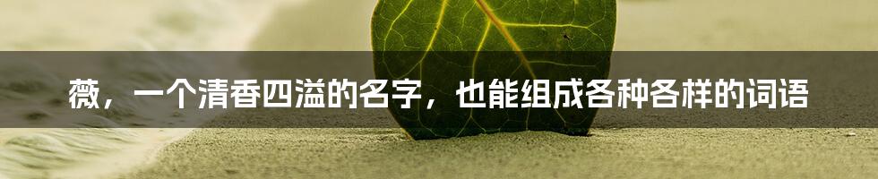 薇，一个清香四溢的名字，也能组成各种各样的词语