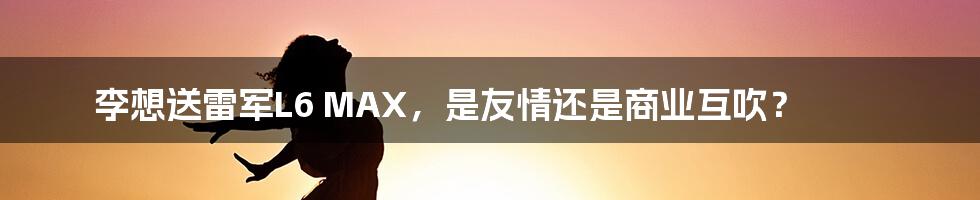 李想送雷军L6 MAX，是友情还是商业互吹？