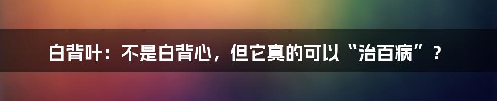 白背叶：不是白背心，但它真的可以“治百病”？