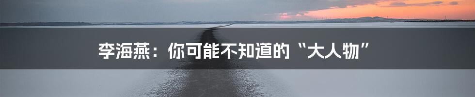 李海燕：你可能不知道的“大人物”