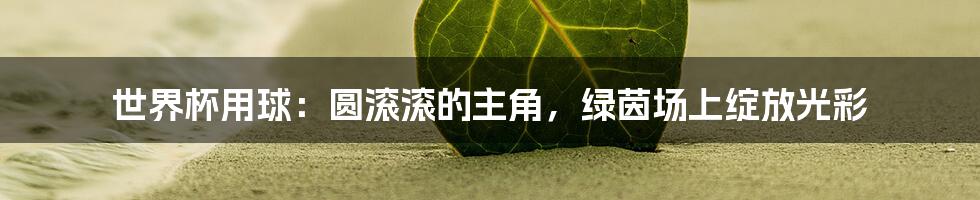 世界杯用球：圆滚滚的主角，绿茵场上绽放光彩