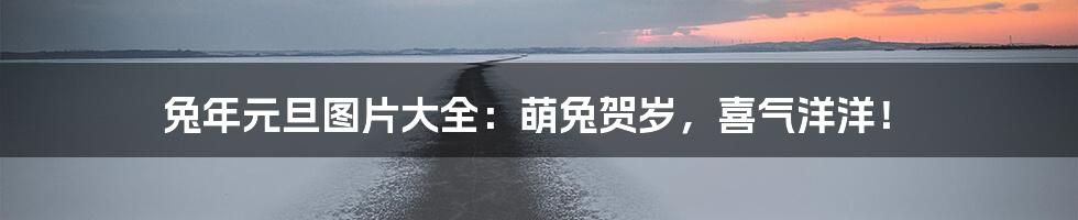 兔年元旦图片大全：萌兔贺岁，喜气洋洋！