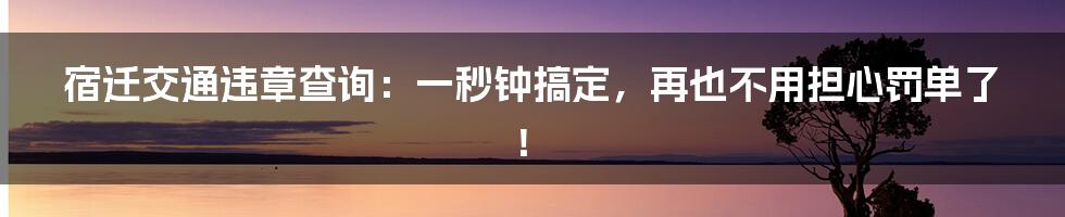 宿迁交通违章查询：一秒钟搞定，再也不用担心罚单了！