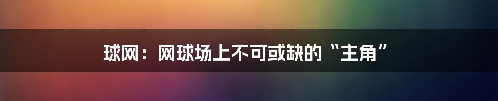 球网：网球场上不可或缺的“主角”