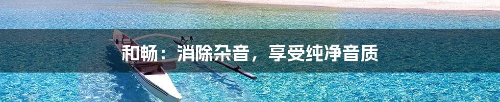 和畅：消除杂音，享受纯净音质