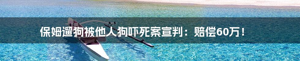 保姆遛狗被他人狗吓死案宣判：赔偿60万！