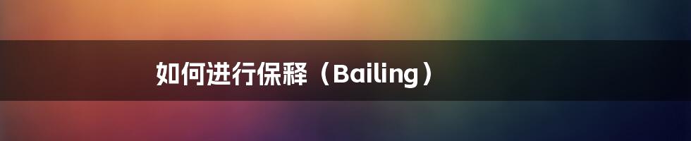 如何进行保释（Bailing）