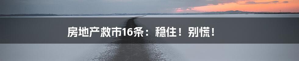 房地产救市16条：稳住！别慌！