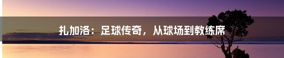 扎加洛：足球传奇，从球场到教练席