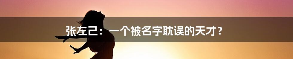 张左己：一个被名字耽误的天才？