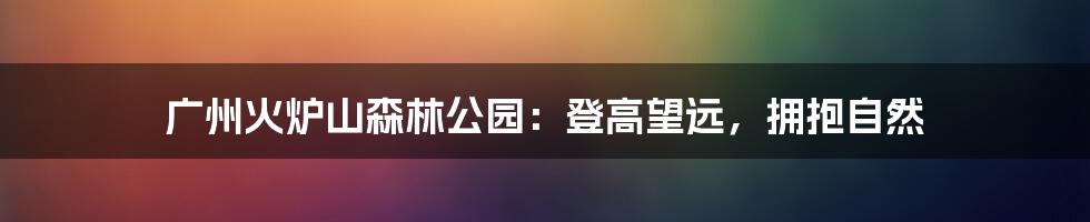 广州火炉山森林公园：登高望远，拥抱自然