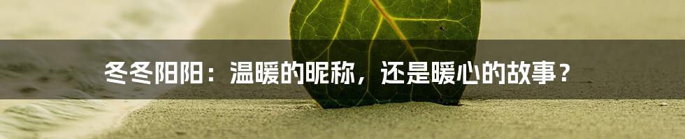 冬冬阳阳：温暖的昵称，还是暖心的故事？